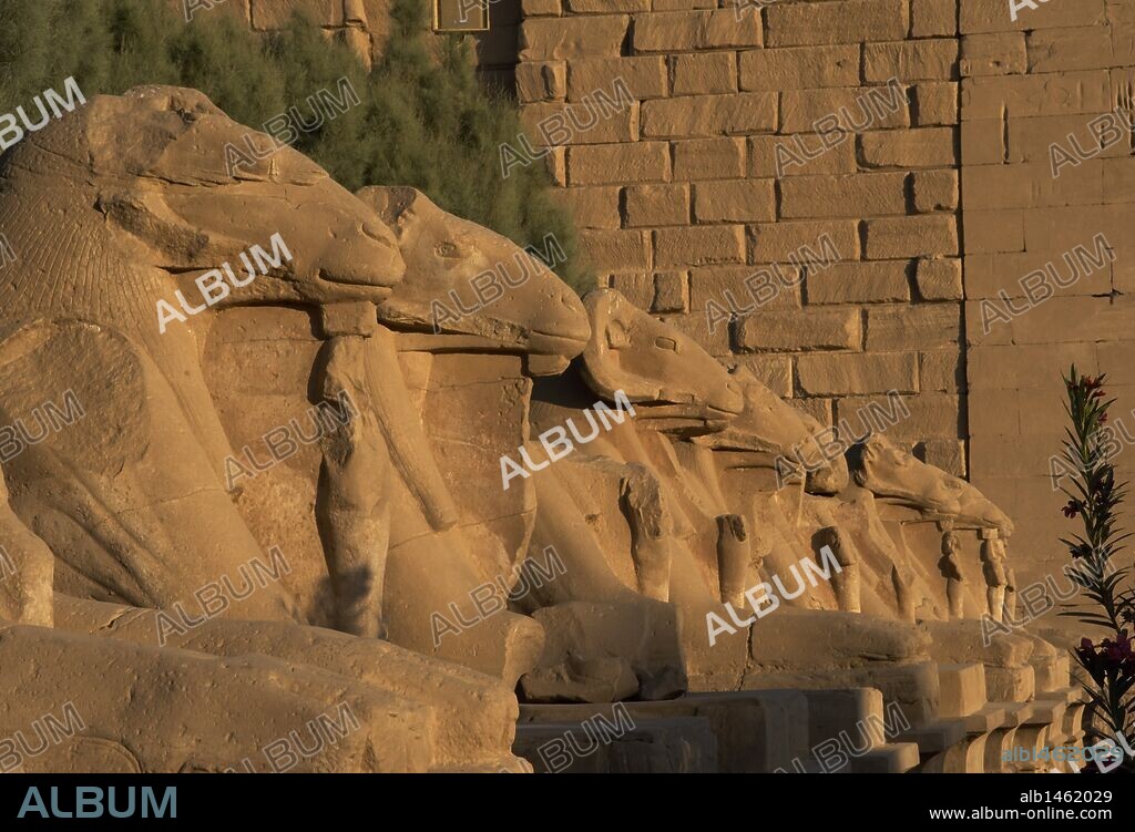 ARTE EGIPCIO. EGIPTO. TEMPLO DE KARNAK. AVENIDA DE LAS ESFINGES, con cabeza de CARNERO (símbolo del dios AMON). Construída durante el reinado de Ramses II. Dinastía XIX. Imperio Nuevo. Alrededores de Luxor (antigua Tebas "Waset").