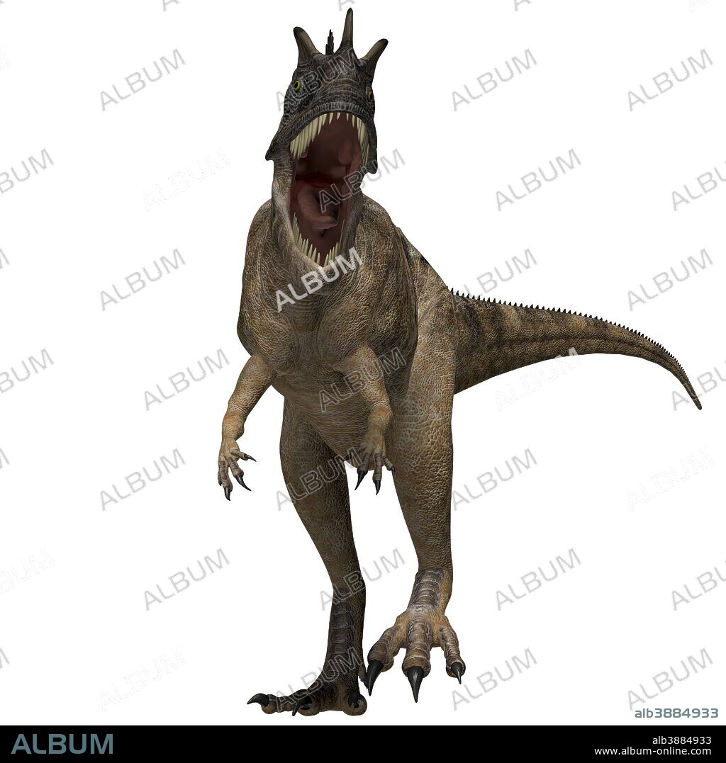 The Ceratosaurus is a horned theropod dinosaur found in North America from the Jurassic Period.
