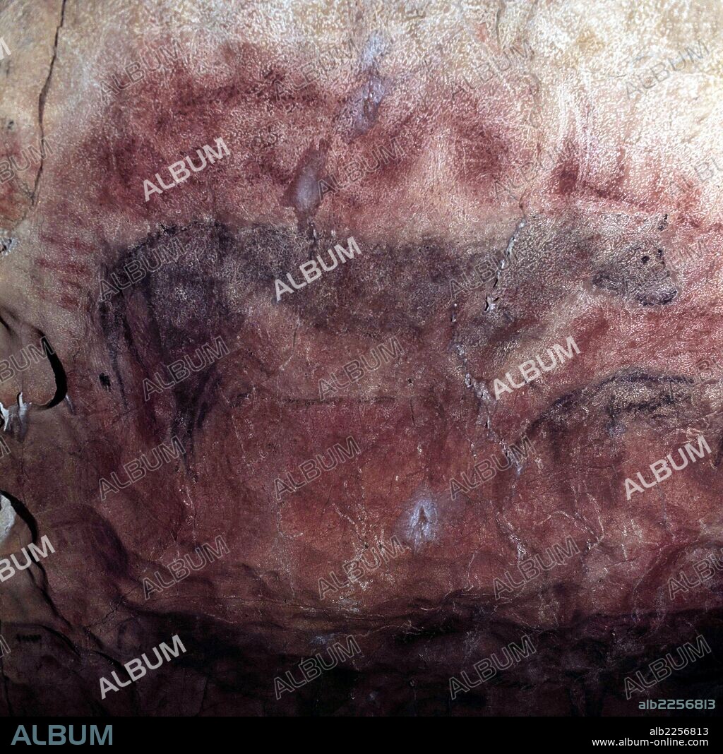 ARTE RUPESTRE. PINTURA. CUEVA DE TITO BUSTILLO EN RIBADESELLA. ASTURIAS. DETALLE DEL GRAN PANEL.
