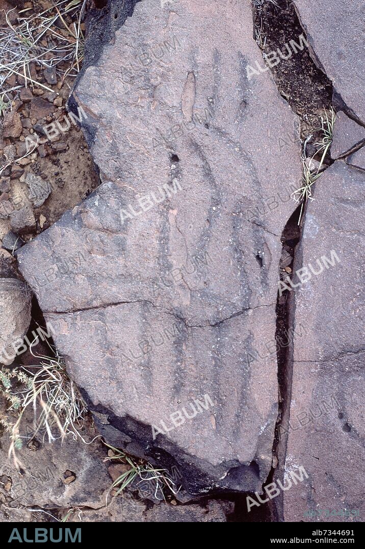 PETROGLIFO GUANCHE - INSCRIPCION DE ALFABETO LIBICO-BEREBER - S XV.