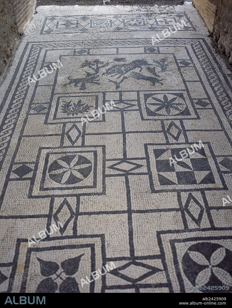 ARTE ROMANO. ITALIA. MOSAICO de teselas blancas y negras que decoraba el pavimento del "ATRIUM" (Atrio) de una "DOMUS" pompeyana. La representación central es una escena de caza: "JABALI ATACADO POR PERROS", y el resto son motivos geométricos. CASA DEL JABALI (en la Vía de la Abundancia). POMPEYA. La Campania.