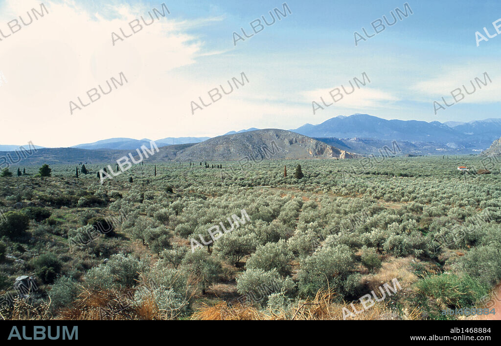Panorámica de la llanura situada al norte del puerto de Itea, conocida como Mar de Olivos. Alrededores de Delfos. Provincia de Fócide. Grecia.