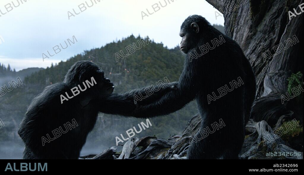 EL AMANECER DEL PLANETA DE LOS SIMIOS, 2014 (DAWN OF THE PLANET OF THE APES), dirigida por MATT REEVES. Copyright CHERNIN ENTERTAINMENT.