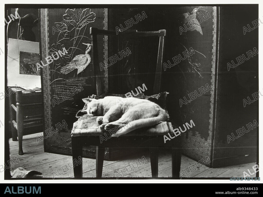 Cat on a chair in Breitner's studio in Amsterdam, George Hendrik Breitner, printer: Harm Botman (mentioned on object), Amsterdam, printer: Netherlands, c. 1890 - c. 1910, paper, gelatin silver print, height 505 mm × width 403 mmheight 400 mm × width 272 mm.