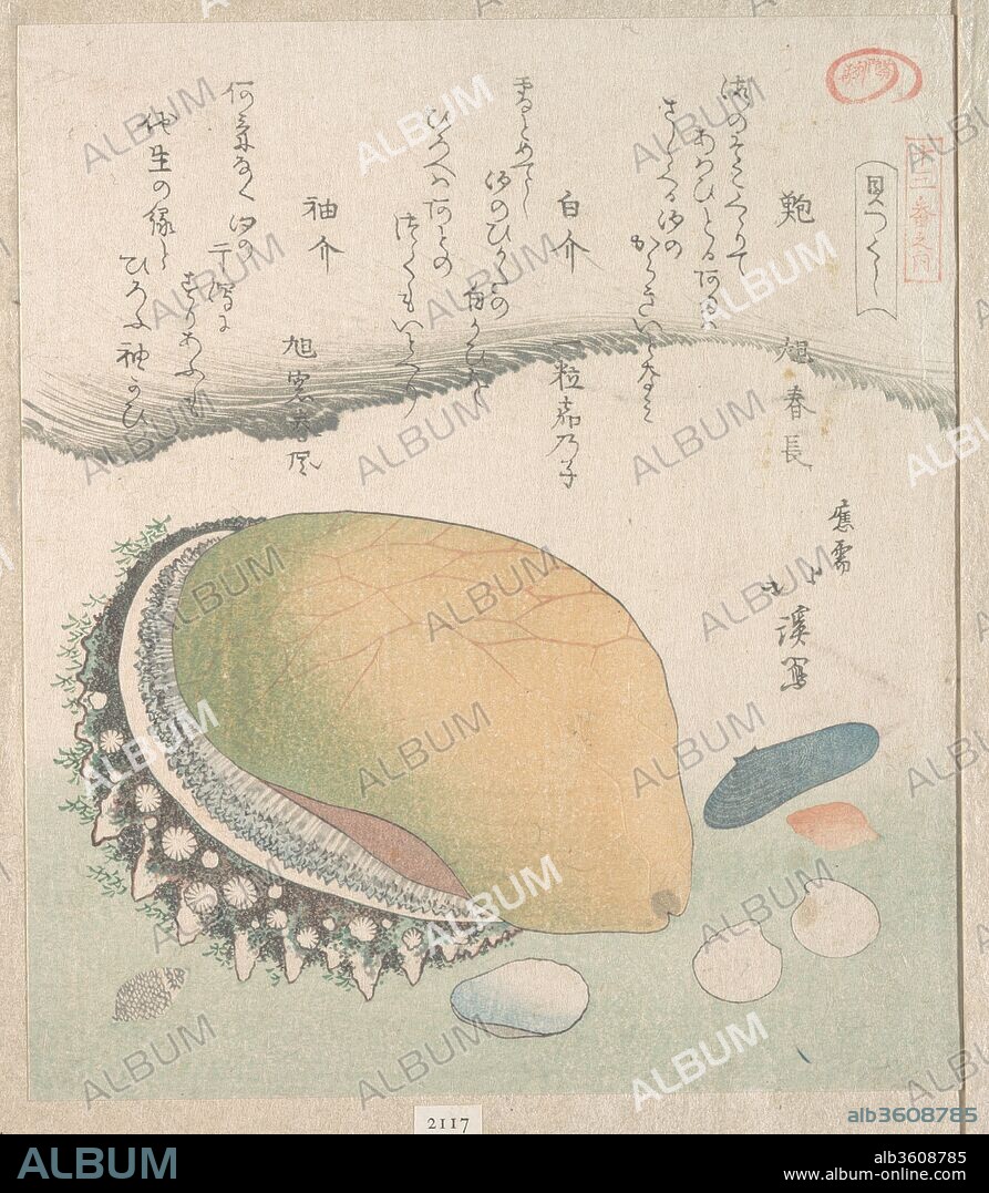 Awabi (Ear-Shell) and Various Shells. Artist: Totoya Hokkei (Japanese, 1780-1850). Culture: Japan. Dimensions: 8 1/8 x 7 1/8 in. (20.6 x 18.1 cm). Date: 19th century.
