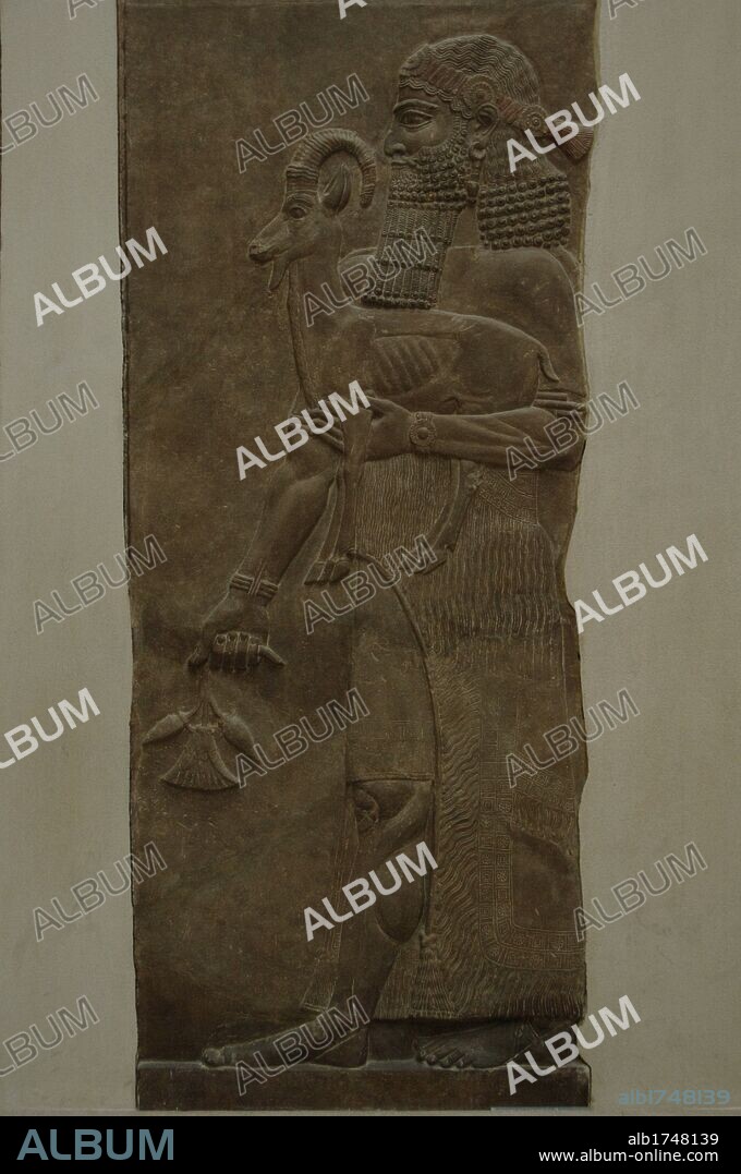 ARTE MESOPOTAMICO. ASIRIA. Hombre portando una cabra (ibex) y una flor de amapola. Relieve de las paredes del Palacio de Sargón II en Dur Sharrukin, antigua Asiria (Actual Khorsabad en Irak). 713-716 a. C. Excavaciones Paul-Émile Botta en 1843-1844. Museo del Louvre. París. Francia.