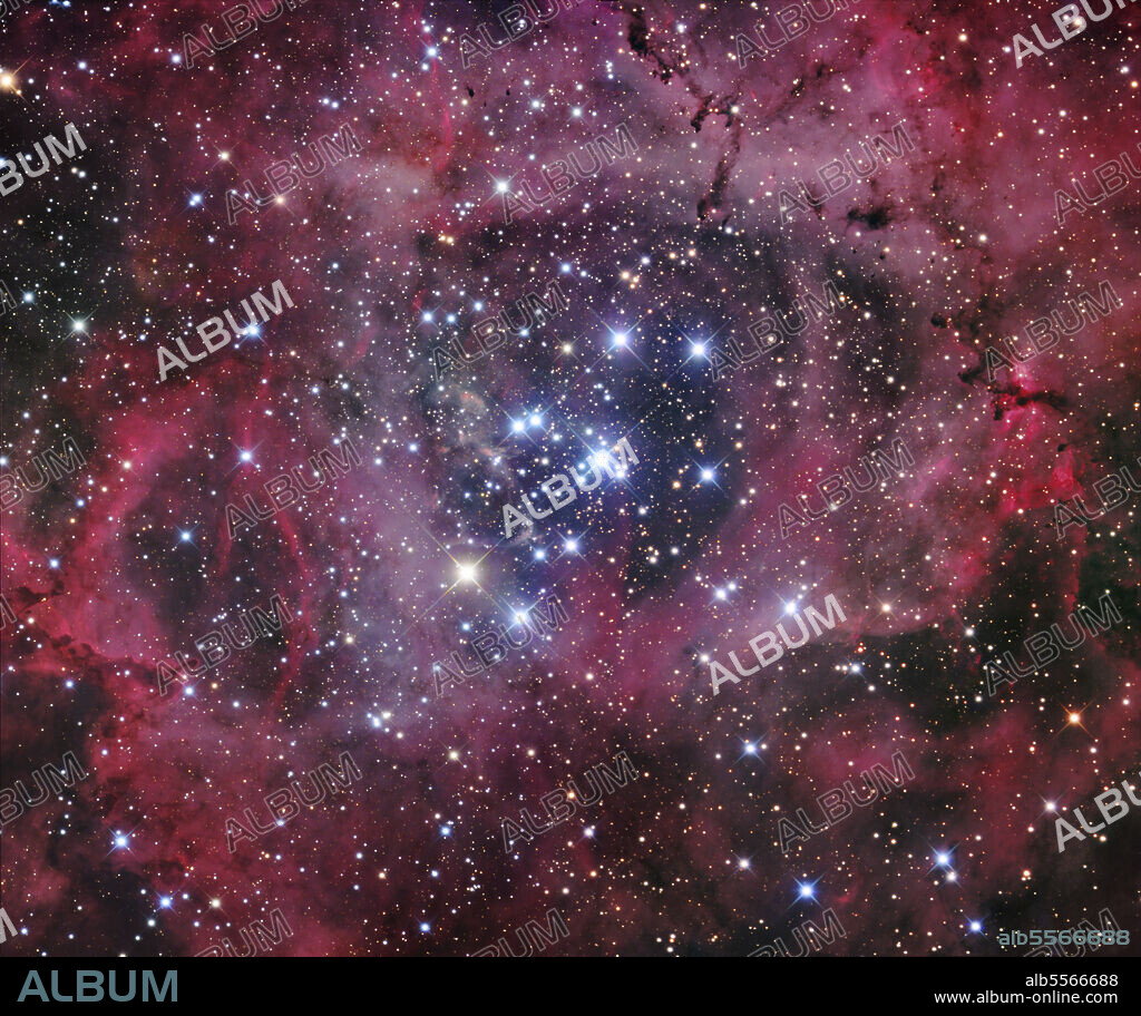NGC 2244, the open cluster within the Rosette Nebula, which is a large, circular H II region located near one end of a giant molecular cloud in the constellation Monoceros.