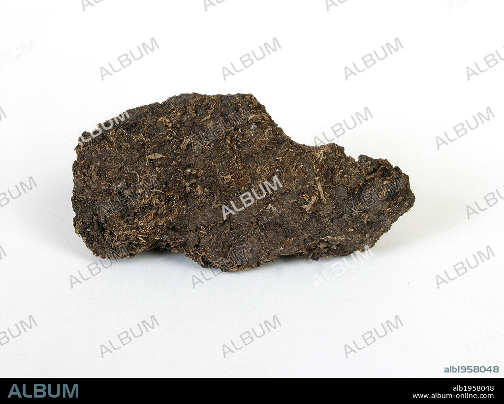 TURBA. Material de color pardusco más o menos oscuro y de estructura porosa que siempre contiene fragmentos de vegetales sin alterar. La turba constituye el primer paso en el proceso de formación del carbón.