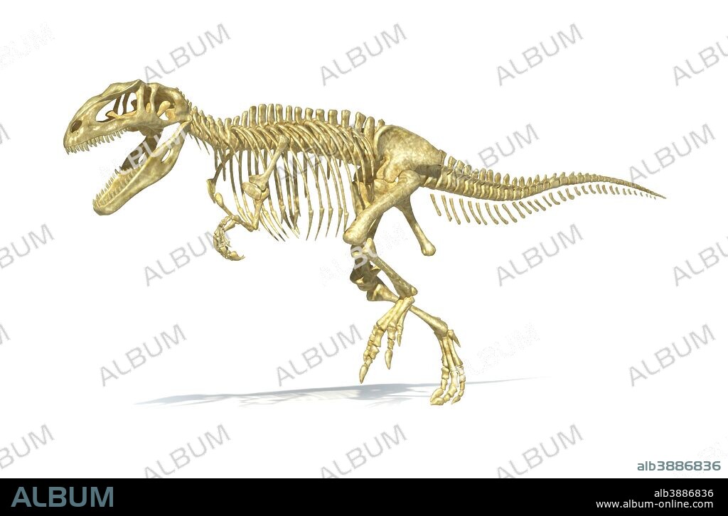 3D rendering of a Giganotosaurus dinosaur skeleton, perspective view.