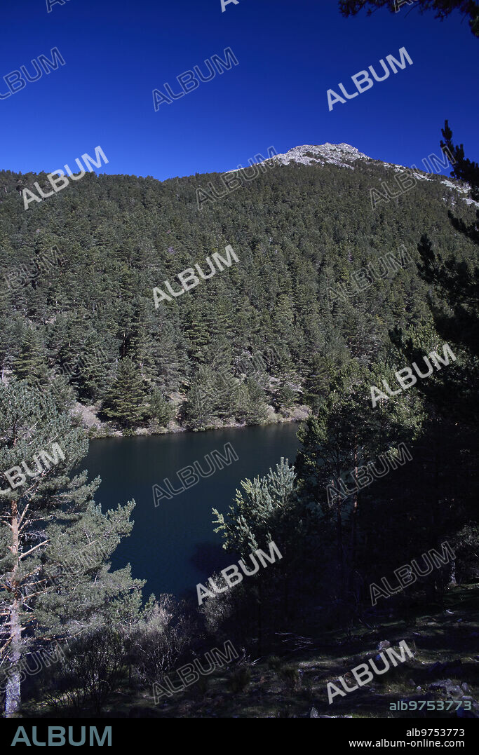 El Espinar (Segovia), 17/04/2023. Sierra de Guadarrama. Dehesa y garganta del río Moros. Monte de utilidad pública 144. Embalse de El Tejo. Foto: Guillermo Navarro. ARCHDC.