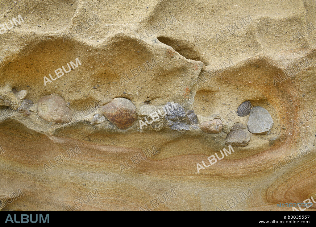 Conglomerate rock with sandstone and pebbles, the Carmelo Formation, in Point Lobos State Natural Reserve, Carmel, California.
