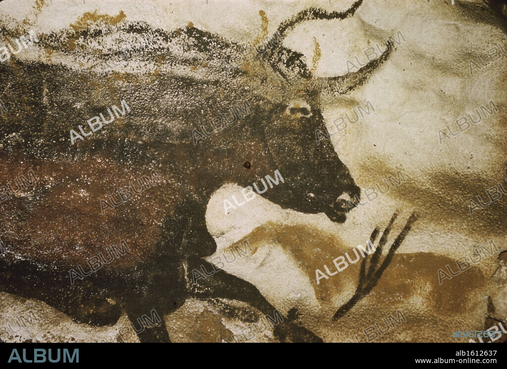 Great Black Bull  Prehistoric Art  Lascaux Caves, France.
