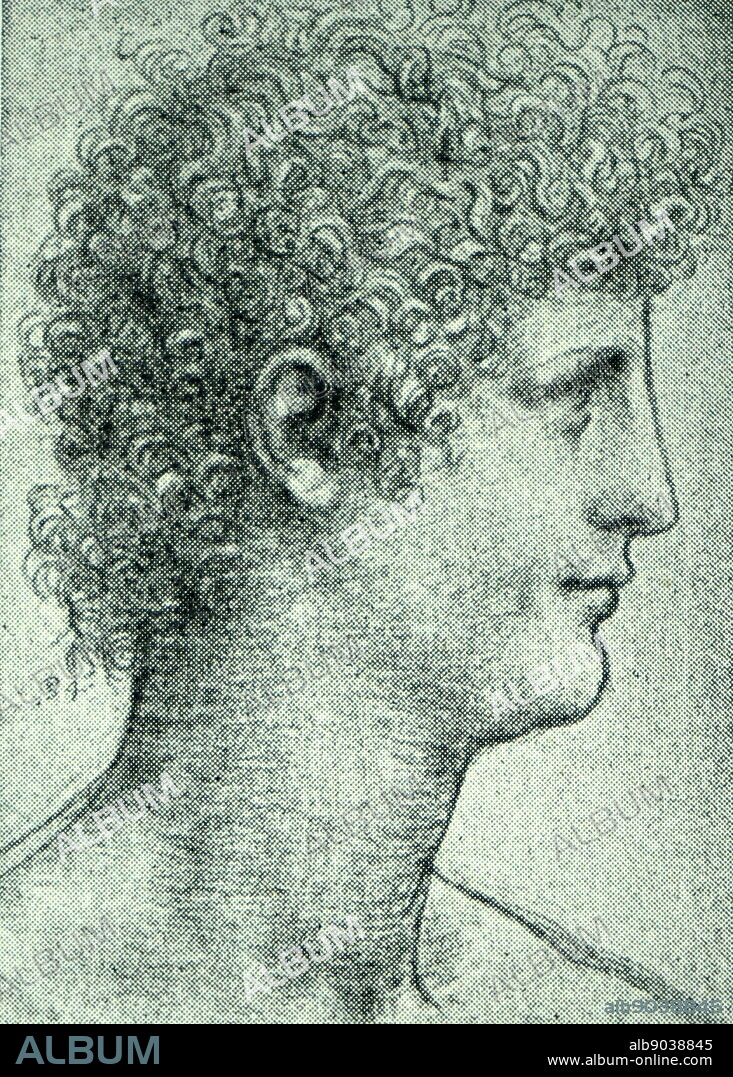 Portrait of Salai by Leonardo da Vinci. Leonardo di ser Piero da Vinci (1452-1519) an Italian polymath of the Renaissance.