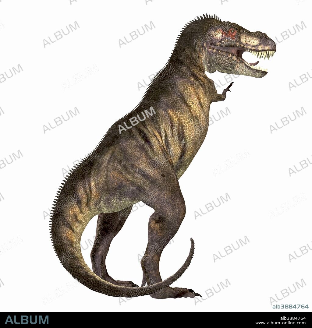 Tyrannosaurus Rex was one of the largest carnivores of the Cretaceous Period of Earths history. Its fossils have been found in western North America. Its name means Tyrant Lizard King.
