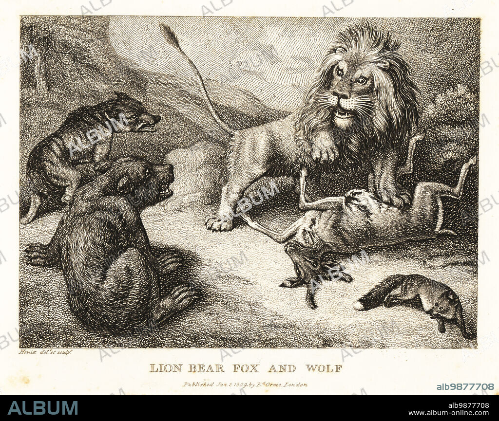 A lion stands with its left foreleg on the belly of a deer, watched by a snarling bear, wolf and fox. Lion, bear, fox and wolf. Illustration of a fable by Greek author Aesop. Copperplate etching drawn and engraved from life by Samuel Howitt from his own A New Work of Animals, Principally Designed from the Fables of Aesop, Gay and Phaedrus, Edward Orme, London, 1811.