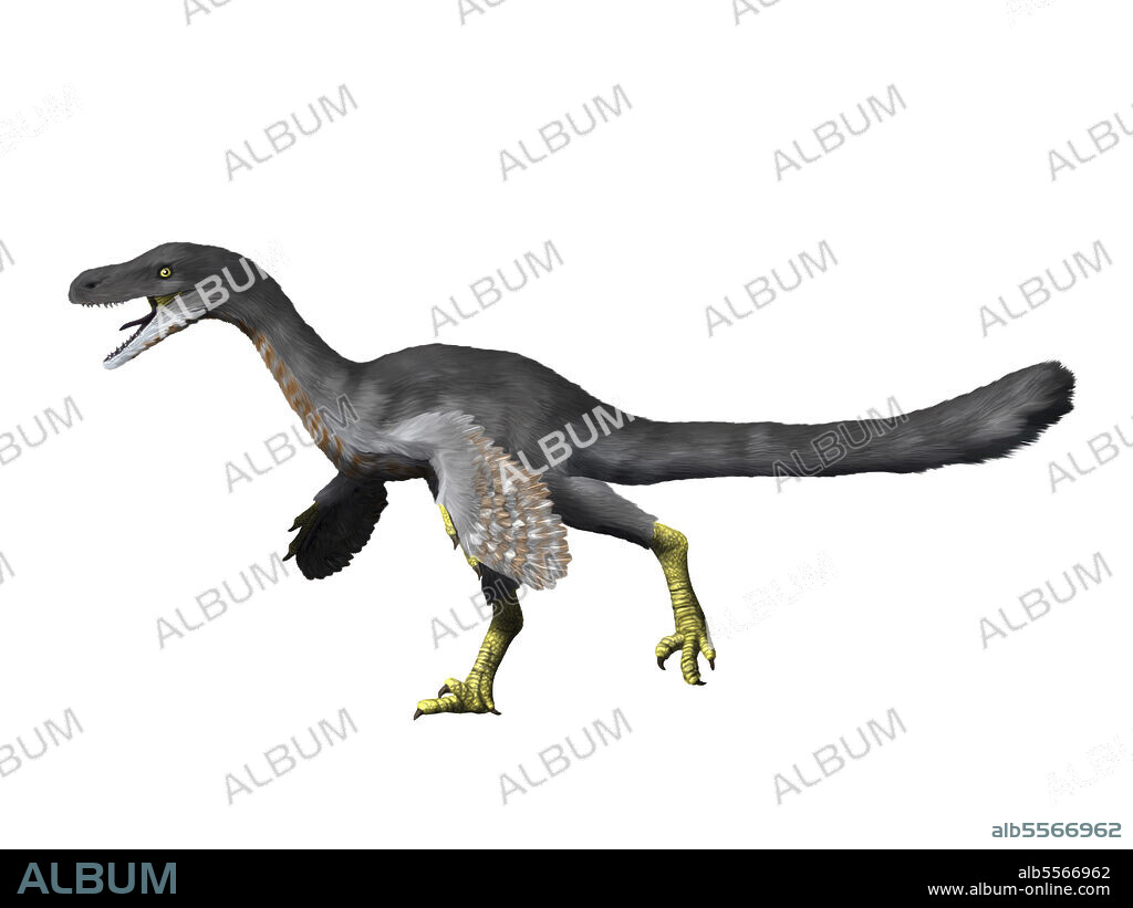 Fukuivenator paradoxus, theropoda, Early Cretaceous of Japan.