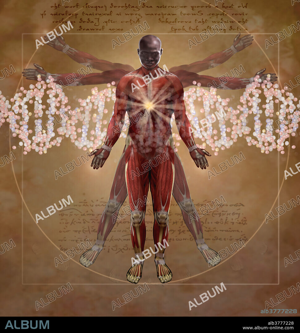 This illustration pays homage to the famous drawing Vitruvian Man by Leonardo Da Vinci. In the drawing, Da Vinci portrays the proportions of man, or the Canon of Proportions. The drawing is based on the correlations of ideal human proportions with geometric proportions described by the ancient Roman architect Vitruvius in his treatise De Architectura. Vitruvius described the human figure as being the principal source of proportion among the classical orders of architecture. Additional elements in this illustration include a depiction of the molecular DNA double helix.