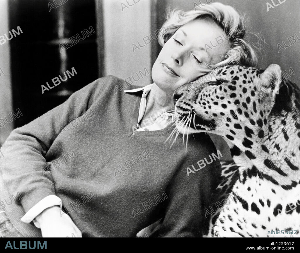 TIPPI HEDREN dans ROAR, 1981, réalisé par NOEL MARSHALL. Copyright AMERICAN FILMWORKS. La actriz en su casa de Soledad Canyon (USA).