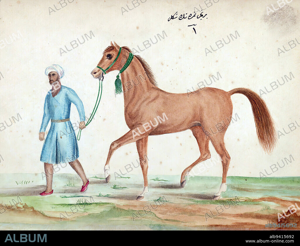 Book on horses, A healthy horse, This is an illustrated Ottoman copy of a Turkish work on the training and care of warhorses (Tufat ül-frisn f avl-i uyl il-muchidn) by Amed A ayyrzde (d. 1294 AH / 1877 CE). The text was written in ruq`ah script by aker Muhammed in 1271 AH / 1854-5 CE.