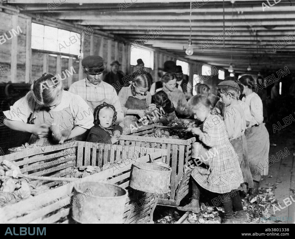 Entitled: "Rosy an 8 year old oyster shucker who works steady all day from about 3:00 A.M. to about 5 P.M. in Dunbar Cannery. The baby will shuck as soon as she can handle the knife. Location: Dunbar, Louisiana." Child labor refers to the employment of children in any work that deprives children of their childhood, interferes with their ability to attend regular school, and that is mentally, physically, socially or morally dangerous and harmful. According to the 1900 US Census about 1 in every 6 Children between the ages of five and ten were engaged in "gainful occupations" in the United States. This trend alarmed Americans who, while supporting the traditional role of children in agriculture, found the idea of American youth laboring for meager wages in industrial factories appalling. From 1909 to 1921 the NCLC (National Child Labor Committee) capitalized on this moral outrage by making it the focal point of the NCLC campaign against child labor. They hired Lewis Hine, a teacher and professional photographer trained in sociology, to document child labor in American industry. Over the next ten years Hine would publish thousands of photographs designed to pull at the nation's heartstrings. Photographed by Lewis Hine, March 1911.