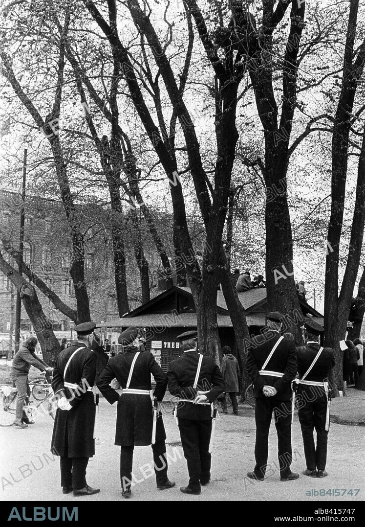 STOCKHOLM 1971-05-12. Almstriden. Politikerna hade bestämt att almarna i Kungsträdgården skulle fällas för att ge plats åt en tunnelbanestation. När träden skulle fällas, nattetid, den 12 maj 1971 möttes polisen och gatukontorets män av ett par tusen demonstranter som ockuperat träden. Almarna fick ett starkt symbolvärde som den första stora, framgångsrika miljödemonstrationen i Sverige.. Foto: Sven-Erik Sjöberg / DN / TT Kod: 28. ** SVD OUT **.