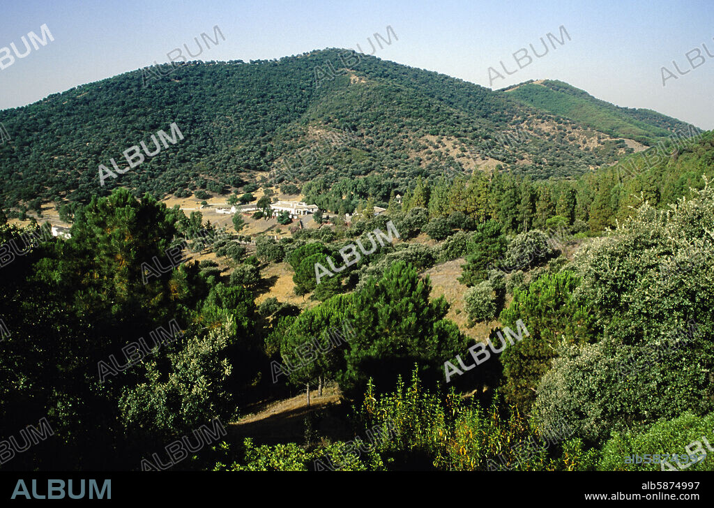 Sierra Morena, near Villanueva de Córdoba; mountain landscape.