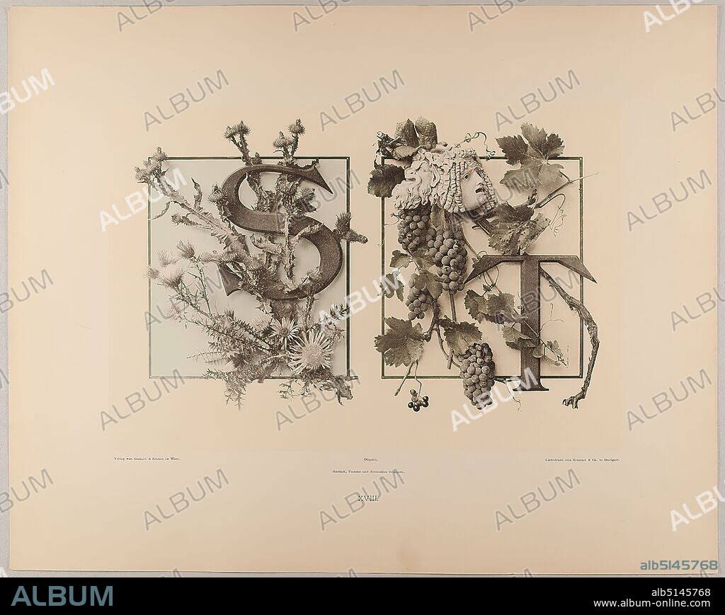 Martin Gerlach, Rommel & Co, Verlag Gerlach und Schenk, XVIII. Initiale S T mit Esels-, Scratch- und Wetterdistel - Wein mit Maske, Staatliche Landesbildstelle Hamburg, collection on the history of photography, paper, collotype, sheet size: height: 40,10 cm; width: 32,10 cm, inscribed: recto: Verlag von Gerlach & Schenk in Vienna, Déposé. Gerlach, Festons and decorative groups, collotype Rommel & Co. in Stuttgart. Numbering, Landesbildstelle, handwritten Inv. no, photography, plants and herbs.