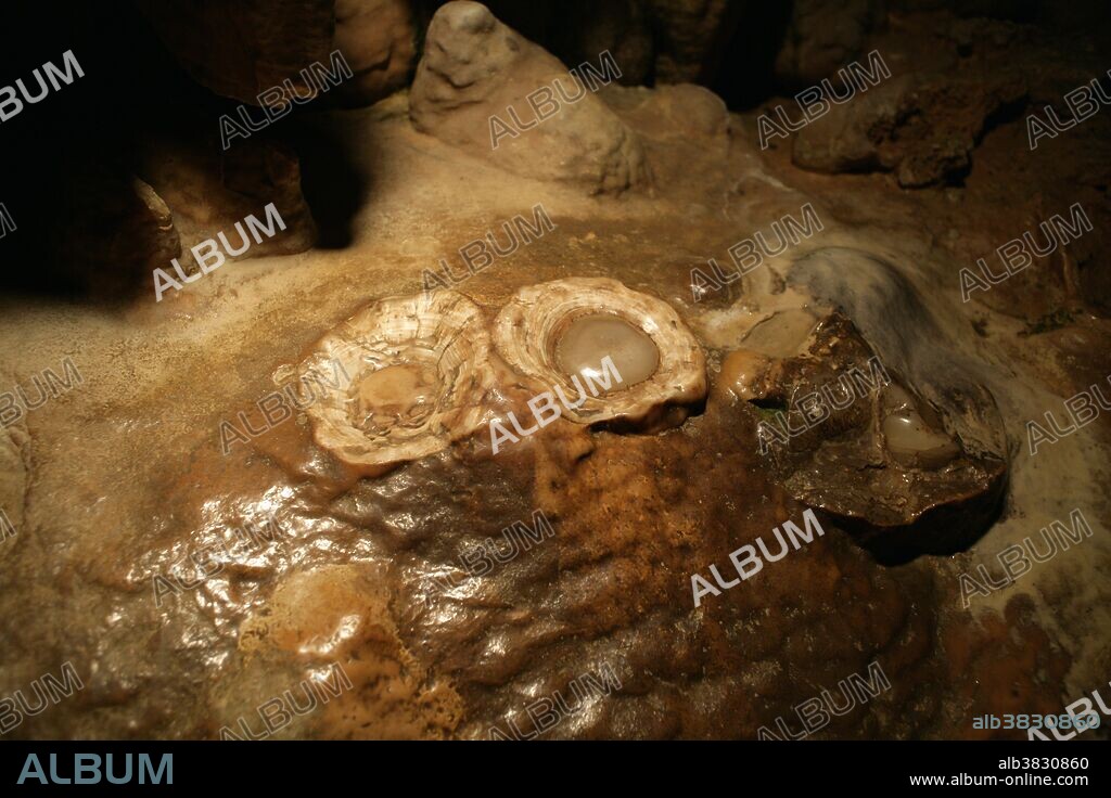 "Fried Egg" formations are the result of man-made damage to stalagmites 30 years ago by workers in Luray Caverns, Virginia. They are slowly starting to reform.