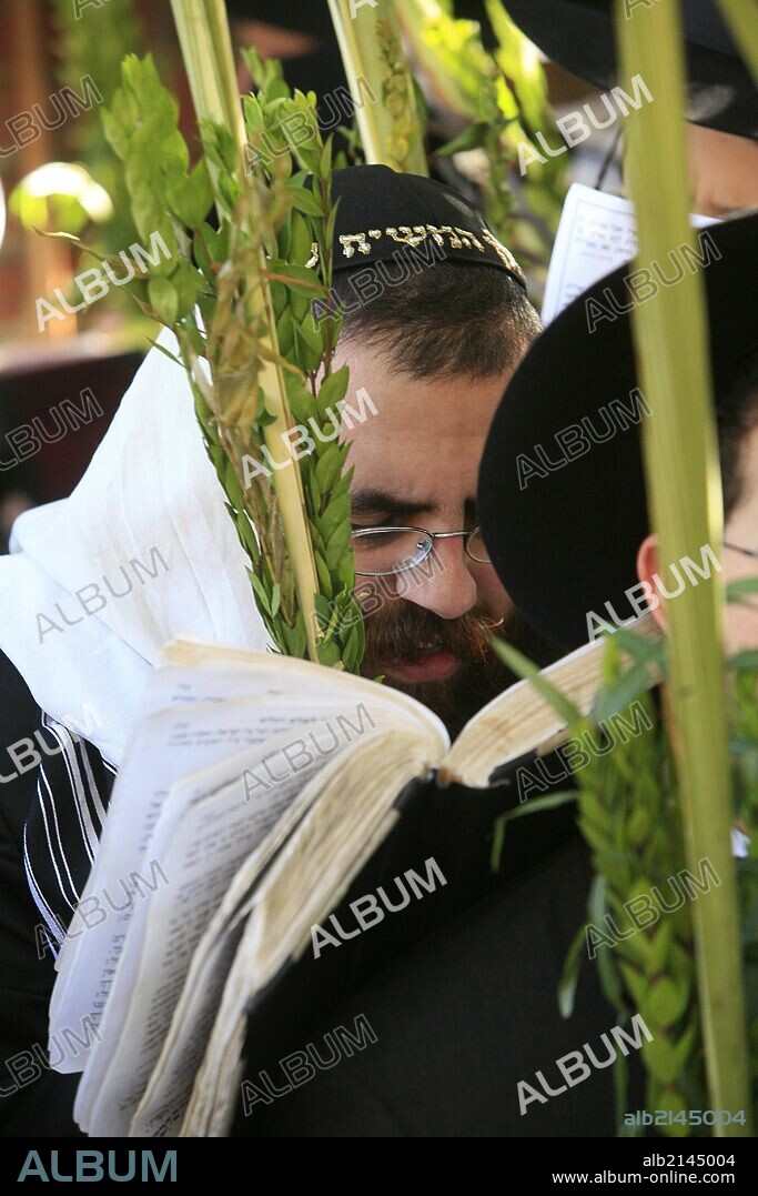 Sukhot celebration in the sukha of the Eastern Parkway Lubavitch synagogue in Brooklyn.