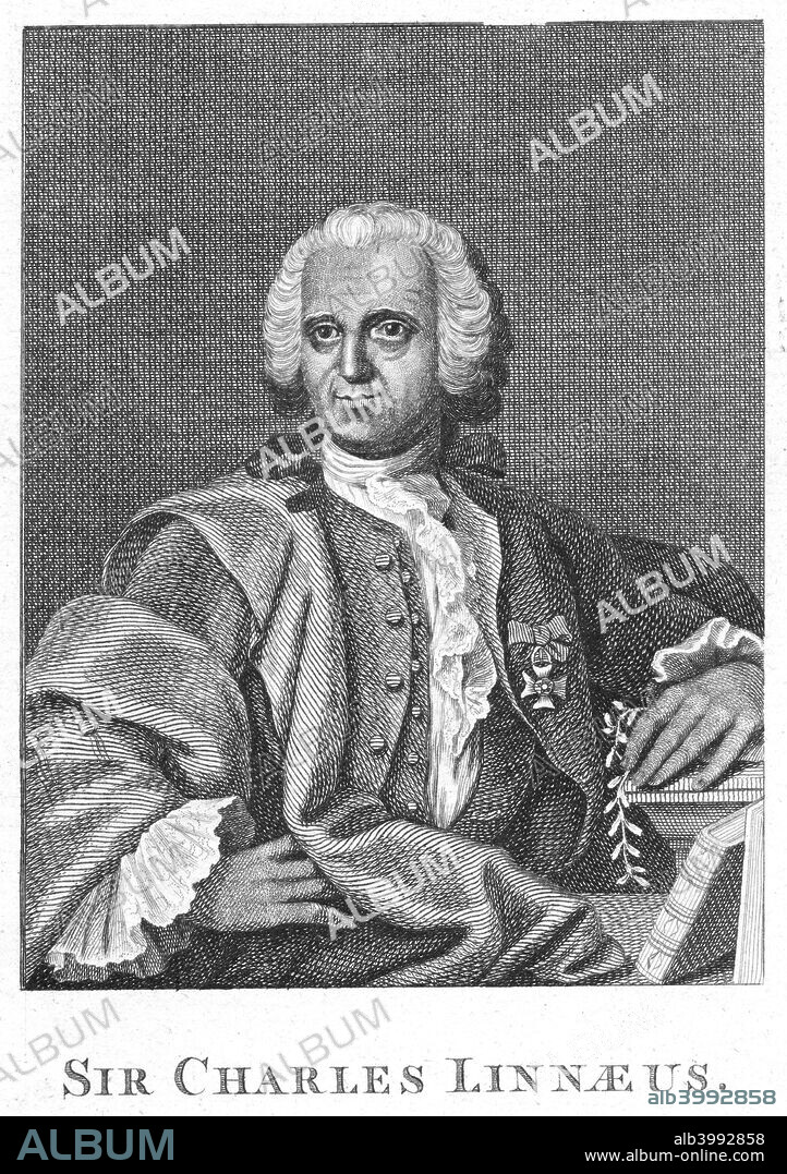 Carolus Linnaeus, 18th century Swedish naturalist. Linnaeus (Carl von Linne) (1707-1778) founded the modern system of plant and animal nomenclature. He is shown holding a sprig of Linnea borealis (Twinflower), a creeping evergreen shrub named in his honour.