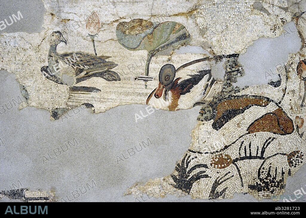 Mosaico romano. Casa del Fauno, Pompeya. Representación de un paisaje nilótico. Casa del Fauno (VI, 12, 2). Pompeya, sur de Italia. Museo Arqueológico Nacional. Nápoles. Ilia.