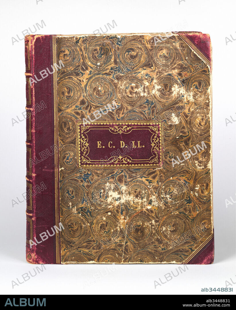 [Emma Charlotte Dillwyn Llewelyn's Album], 1853–56, 128 salted paper prints and albumen silver prints from paper and glass negatives, 28.8 × 22.3 cm (11 5/16 × 8 3/4 in.), Albums, John Dillwyn Llewelyn (British, Swansea, Wales 1810–1882 Swansea, Wales), Thereza Dillwyn Llewelyn, Jane Martha St. John (British, 1803–1882), James Knight (British) , et al, Miss Bush (British, active 19th century), P. W. Fry (British, active 19th century), M.D., Within a week of Talbot's public presentation of the photogenic drawing process, John Dillwyn Llewelyn was trying his hand at the new technique. He owed his early introduction to the invention to his wife, the inventor's first cousin Emma Thomasina Talbot.