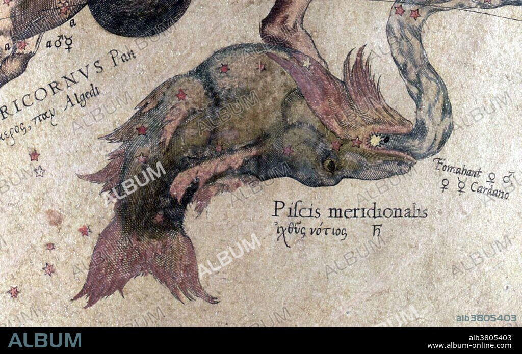 Piscis Austrinus constellation as it appears on the Mercator globe, 1551. Piscis Austrinus (also known as Piscis Australis) is a constellation in the southern celestial hemisphere. The name is Latin for "the southern fish", in contrast with the larger constellation Pisces, which represents a pair of fishes. Prior to the 20th century, it was also known as Piscis Notius. It is one of the 48 constellations described by the 2nd century astronomer Ptolemy, and remains one of the 88 modern constellations defined by the International Astronomical Union. In Greek mythology, this constellation is known as the Great Fish and it is portrayed as swallowing the water being poured out by Aquarius. In Egyptian mythology, this fish saved the life of the Egyptian goddess Isis, so she placed this fish and its descendants into the heavens as constellations of stars. Piscis Austrinus is a constellation bordered by Capricornus to the northwest, Microscopium to the southwest, Grus to the south, Sculptor to the east, Aquarius to the north.
