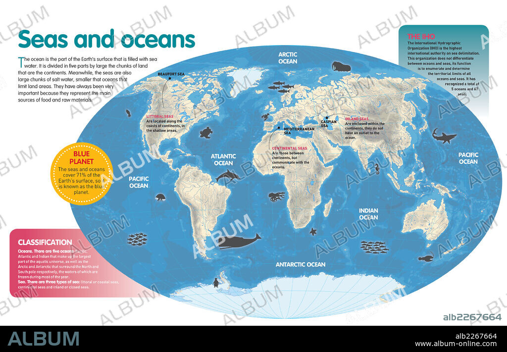 Mares y océanos. Infografía sobre la clasificación del agua salada terrestre en mares (y sus categorías) y océanos.