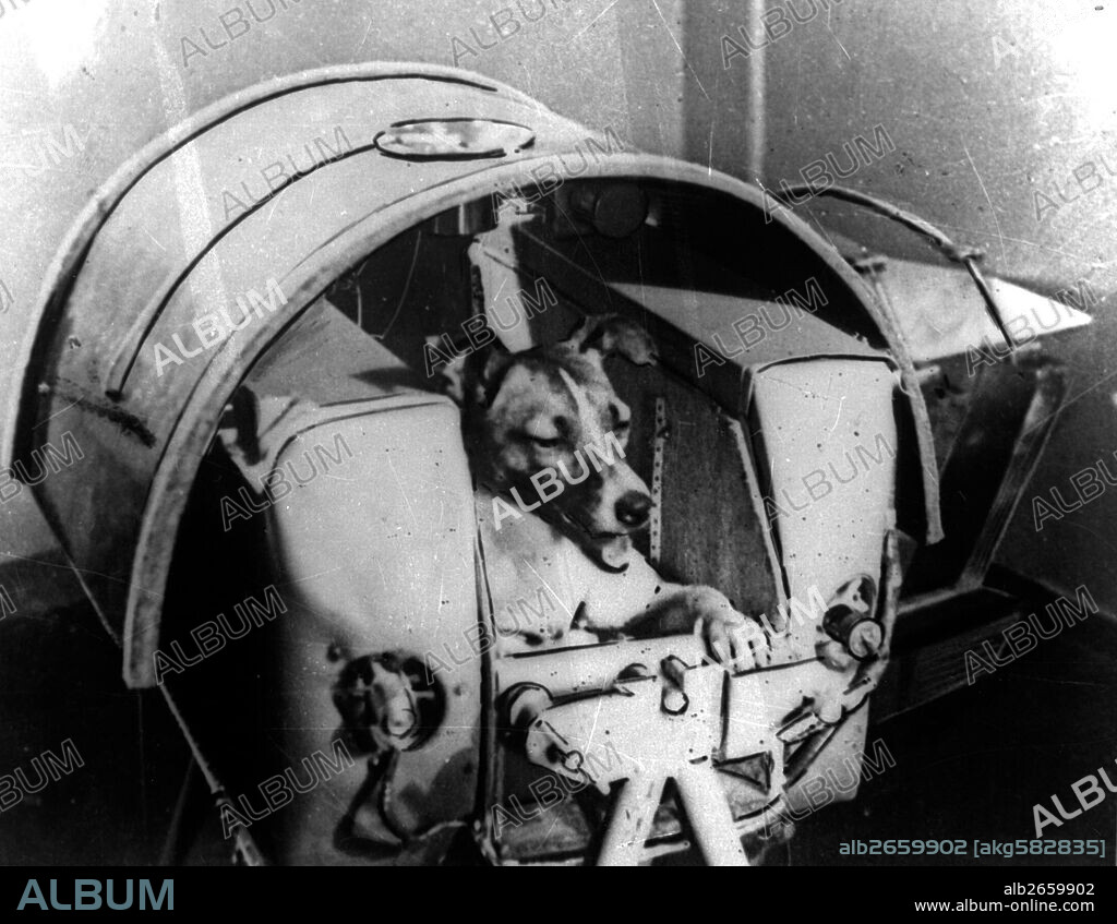 Astronomy / Space Travel / USSR / Sputnik Program / Sputnik 2, 3 November 1957 (first satellite to carry a living animal into space, Laika the dog; Laika died after 5 to 7 hours).-Laika in her cabin.-Photo.