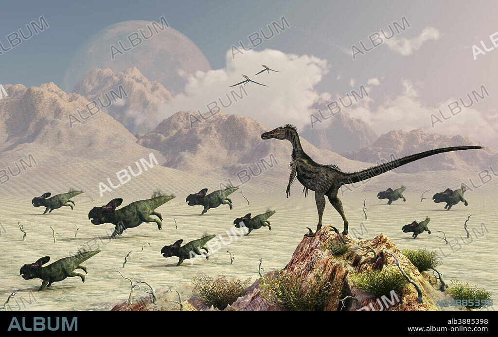 A herd of Protoceratops stampede in fear as a Velociraptor watches from above during Earth's Late Cretaceous Era, in what is now Mongolia.