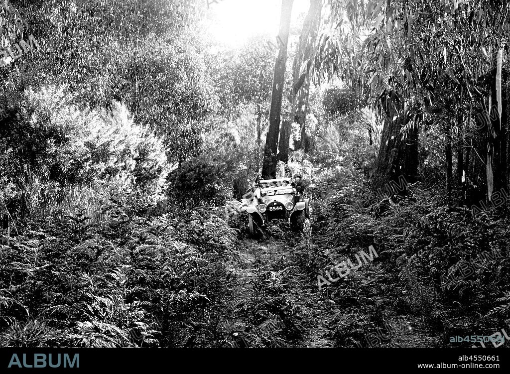 Negative - Traralgon District, Victoria, circa 1915, A Buick car on an overgrown forest track.