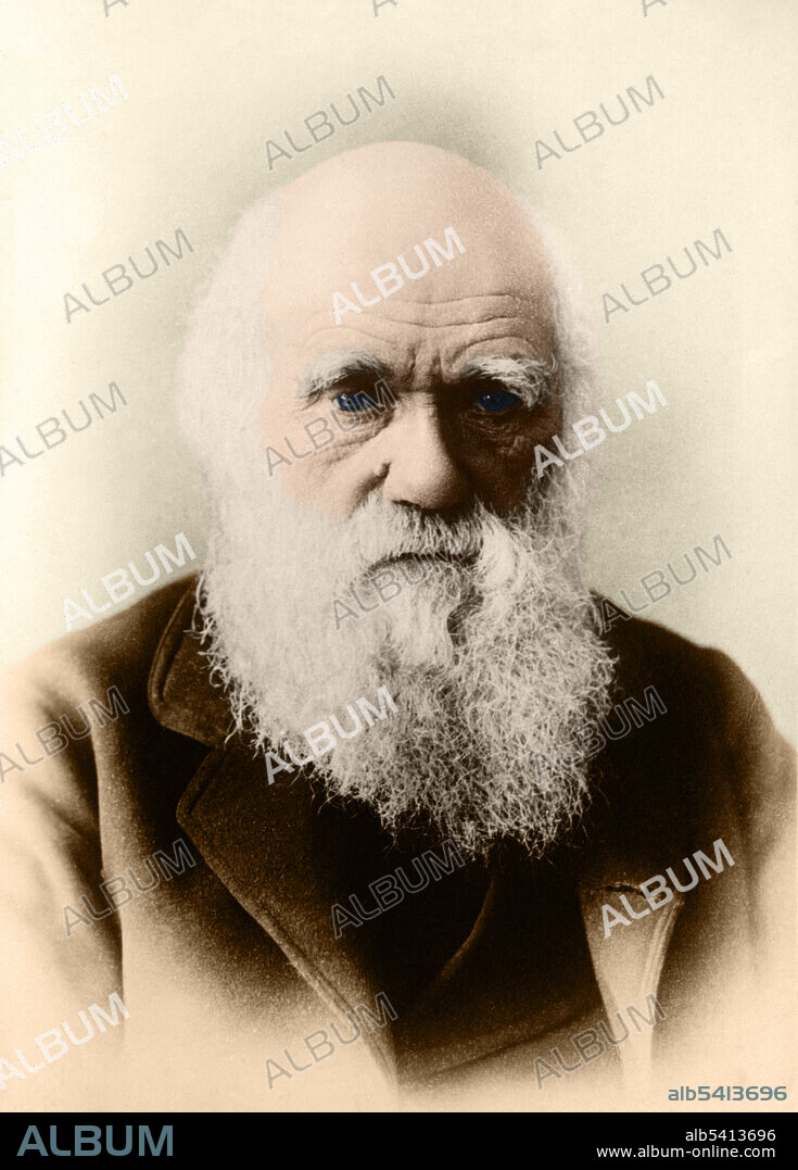 Charles Robert Darwin (1809-1882) was an English naturalist, geologist and biologist. Puzzled by the geographical distribution of wildlife and fossils he collected on the five-year voyage on HMS Beagle, Darwin began detailed investigations and in 1838 conceived his theory of natural selection. Although he discussed his ideas with several naturalists, he needed time for extensive research and his geological work had priority. He was writing up his theory in 1858 when Alfred Russel Wallace sent him an essay that described the same idea, prompting immediate joint publication of both of their theories. Darwin's work established evolutionary descent with modification as the dominant scientific explanation of diversification in nature. In 1871 he examined human evolution and sexual selection in The Descent of Man, and Selection in Relation to Sex, followed by The Expression of the Emotions in Man and Animals (1872).
