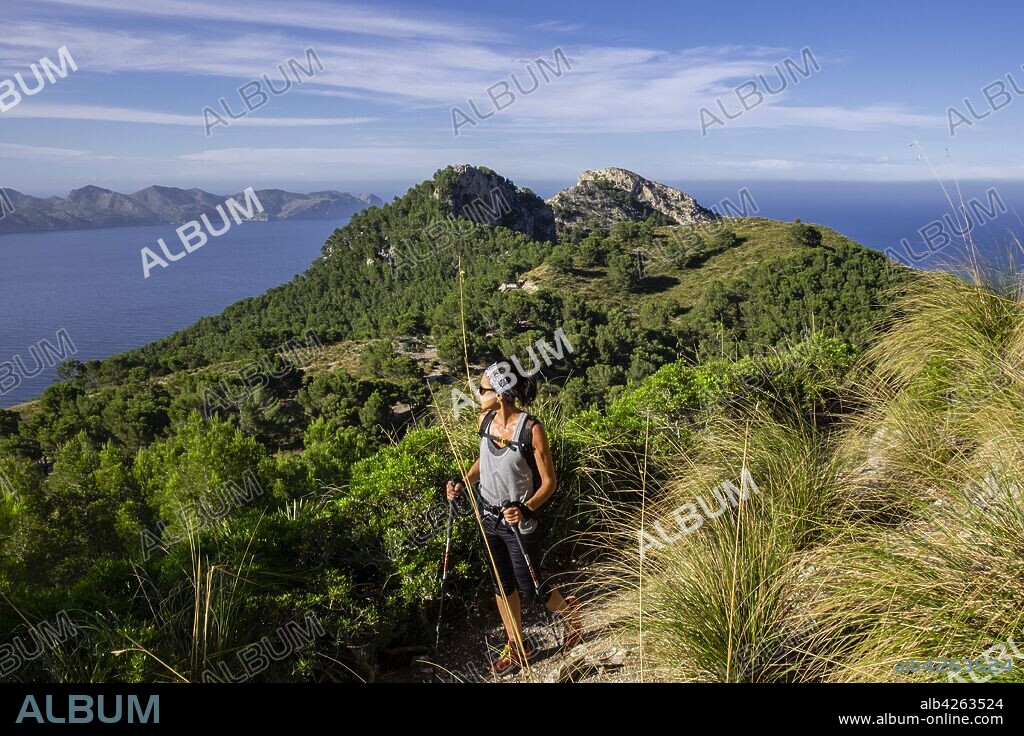 senda del Puig de Sa Talaia, área natural de la Victòria, Alcúdia, Mallorca, balearic islands, Spain.