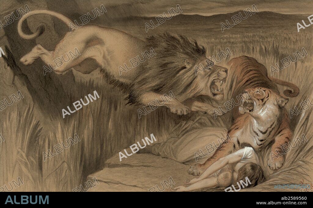 The British lion's vengence on the Bengal tiger 1870. By John Tenniel, 1820-1914. Political cartoon showing a lion pouncing upon a tiger that is attacking a woman and baby. Photo by: .