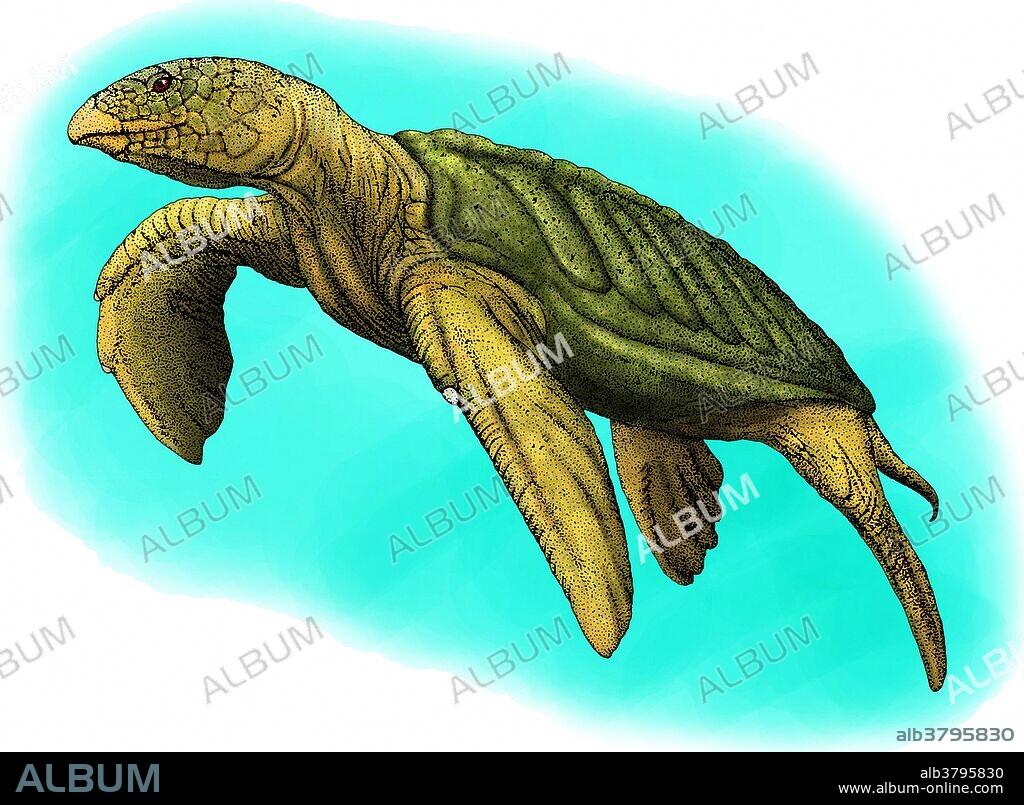 Archelon is a genus of extinct turtles.