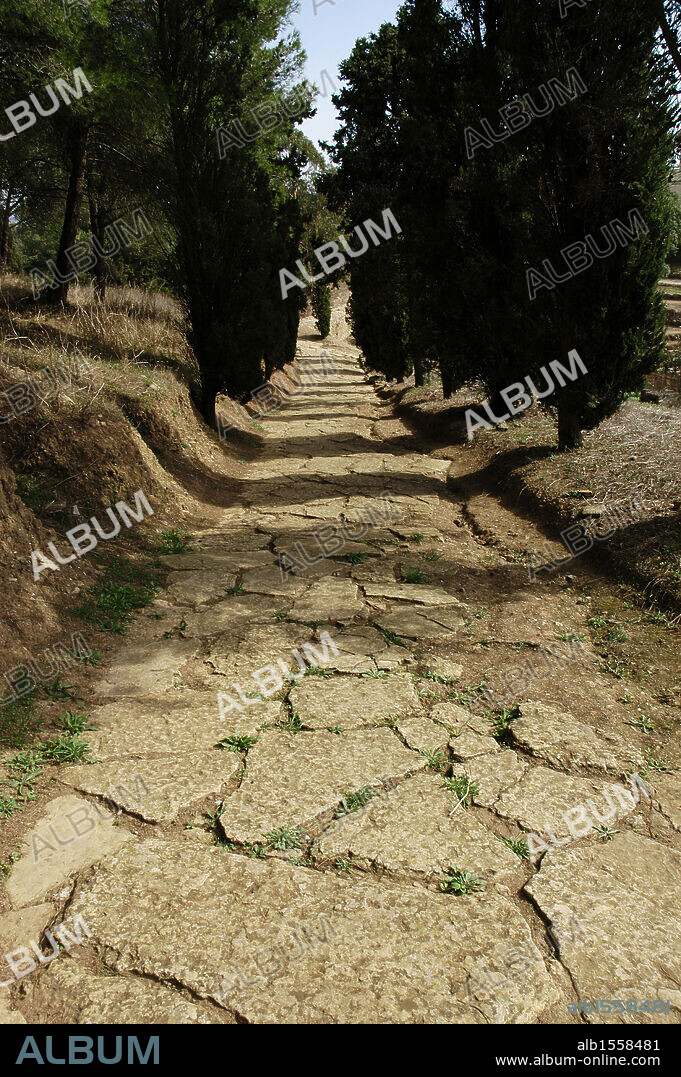 Portugal. Ruinas romanas de Miróbriga. Antiguo asentamiento lusitano cuyas ruinas actuales datan de época romana, entre los siglos I y IV. Calzada romana. Alrededores de Santiago do Cacém. Región del Alentejo.