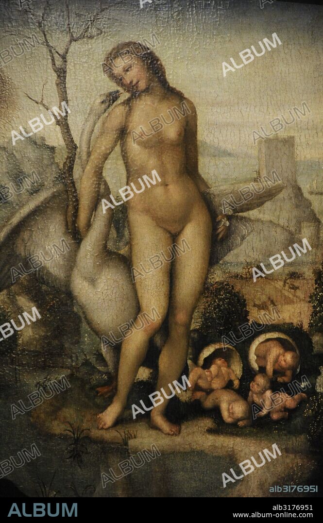 Il Sodoma, name given to the Italian Renaissance painter Giovanni Antonio Bazzi (1477-1549). Sienese school. Leda, Ca. 1512-1513. The State Hermitage Museum. Saint Petersburg. Russia.