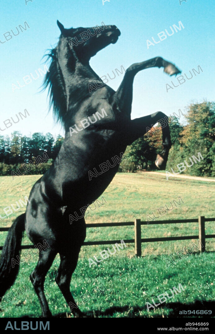 BLACK BEAUTY, 1994. Copyright WARNER BROS. PICTURES.