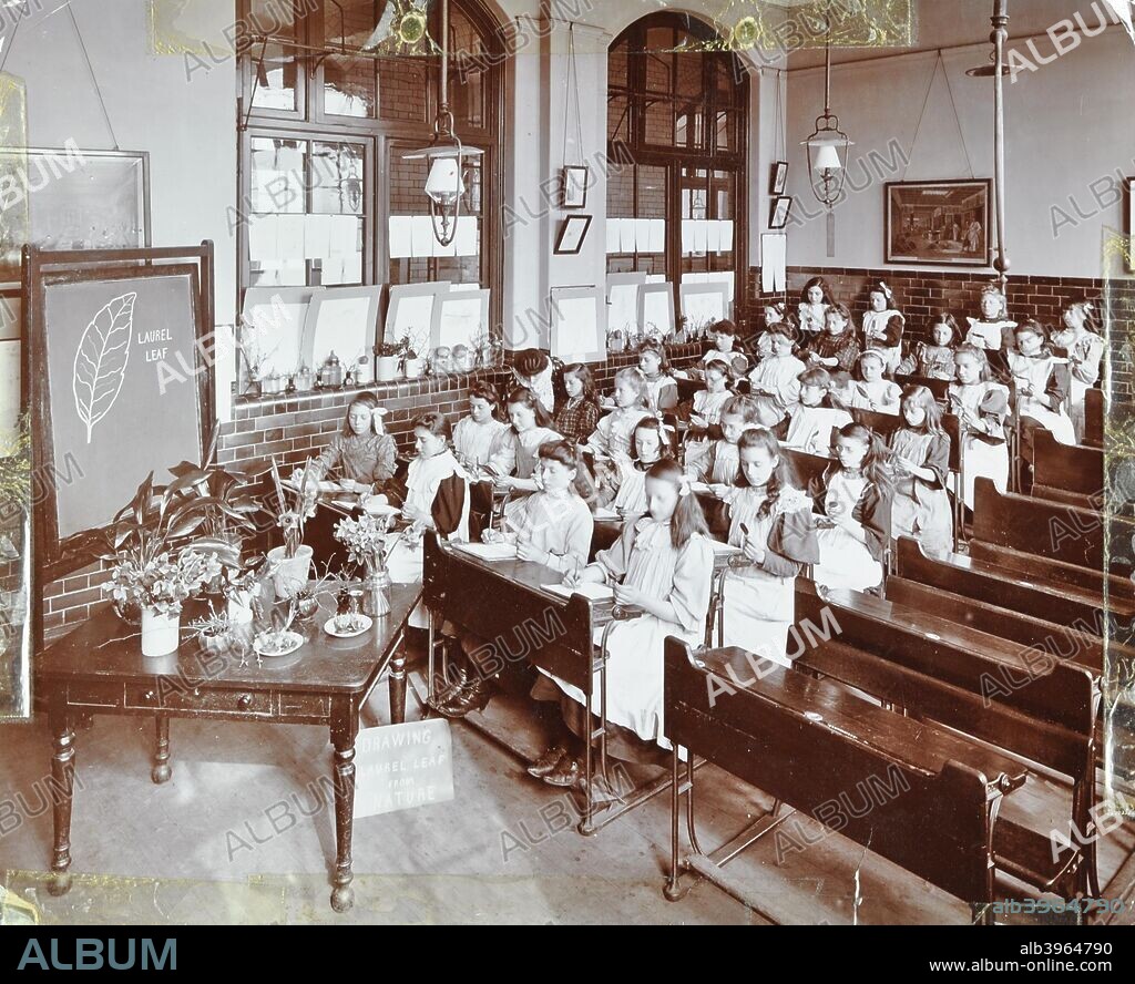 Nature lesson, Albion Street Girls School, Rotherhithe, London, 1908. Girls sit at their desks in a classroom drawing a laurel leaf from nature.
