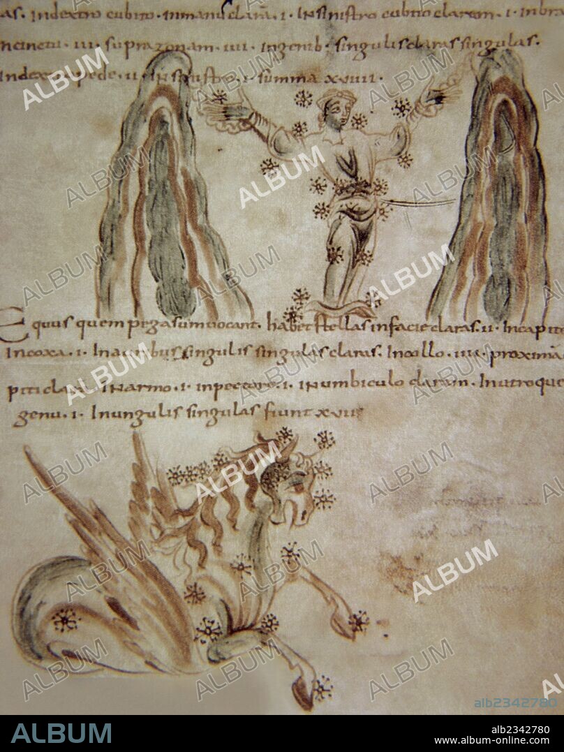 Edad Media. Astrología. Miniatura con la representación de las constelaciones de Adromena y de Pegaso.