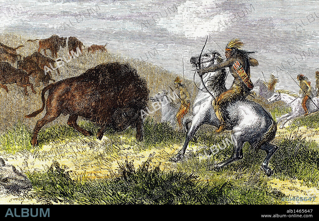 HISTORIA DE NORTEAMERICA. IGLO. XIX. "INDIOS CAZANDO BISONTES".