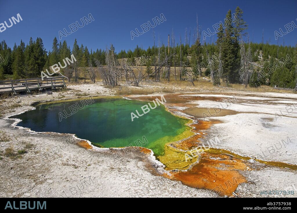 Abyss Pool, West Thumb Geyser Basin, Yellowstone National Park, UNESCO World Heritage Site, Wyoming, United States of America, North America.