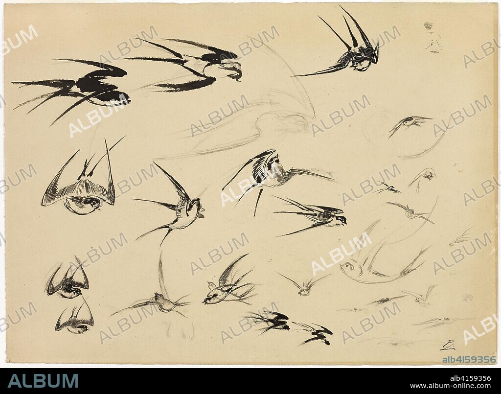 The Swallows. Félix Henri Bracquemond; French, 1833-1914. Date: 1881. Dimensions: 277 × 377 mm. Pen and brush and black ink, with black chalk and graphite and touches of black Conté crayon, on tan wove paper. Origin: France.