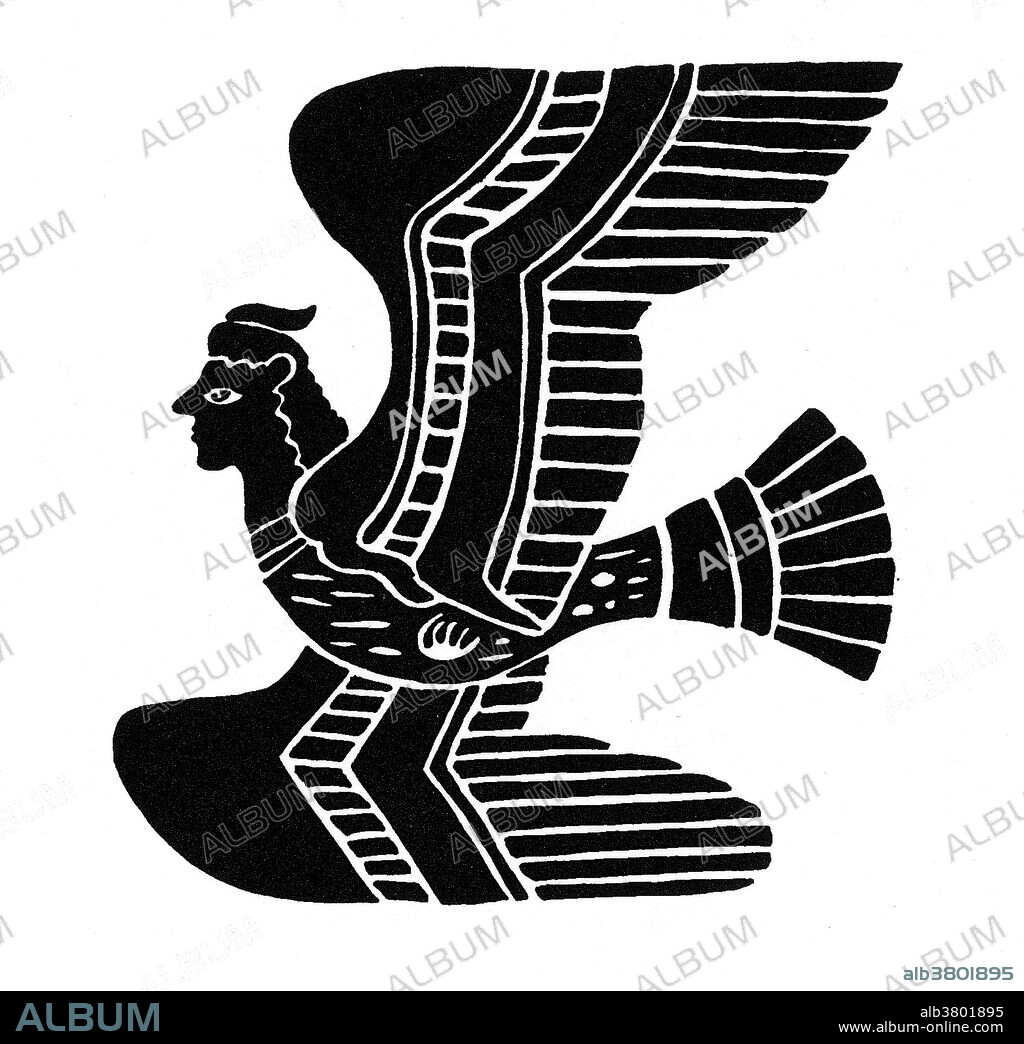 In earlier versions of Greek myth, Harpies were described as beautiful, winged maidens. Later they became winged monsters with the face of an ugly old woman and equipped with crooked, sharp talons. Often described as a ravenous, filthy monster having a woman's head and a bird's body. The literal meaning of the word seems to be "that which snatches". They were vicious, cruel and violent. They were agents of punishment who abducted people and tortured them. They lived on the islands of the Strophades. They were usually seen as the personifications of the destructive nature of wind: Aello (storm swift), Celaeno (the dark) and Ocypete (the swift wing). They are best known for constantly stealing all food from Phineas.